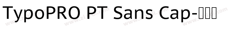 TypoPRO PT Sans Cap字体转换